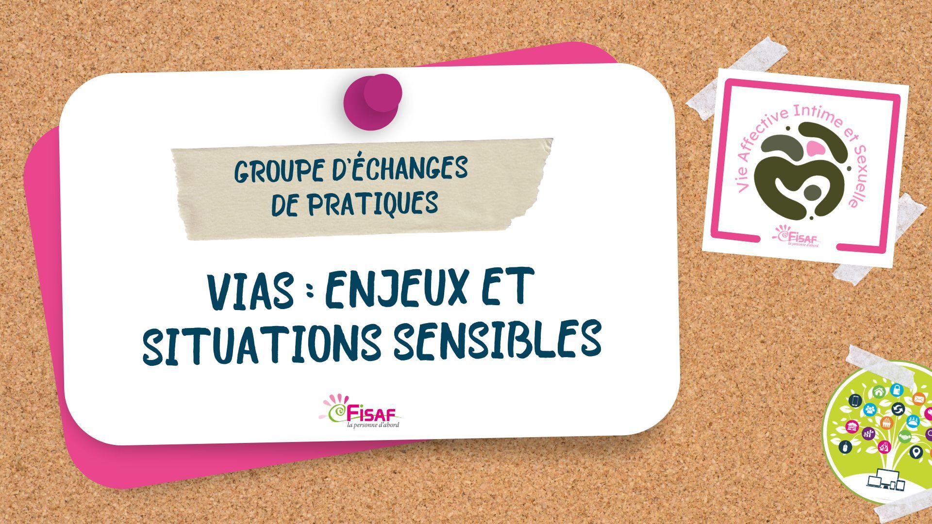 GEP VIAS – ENJEUX ET SITUATIONS SENSIBLES 