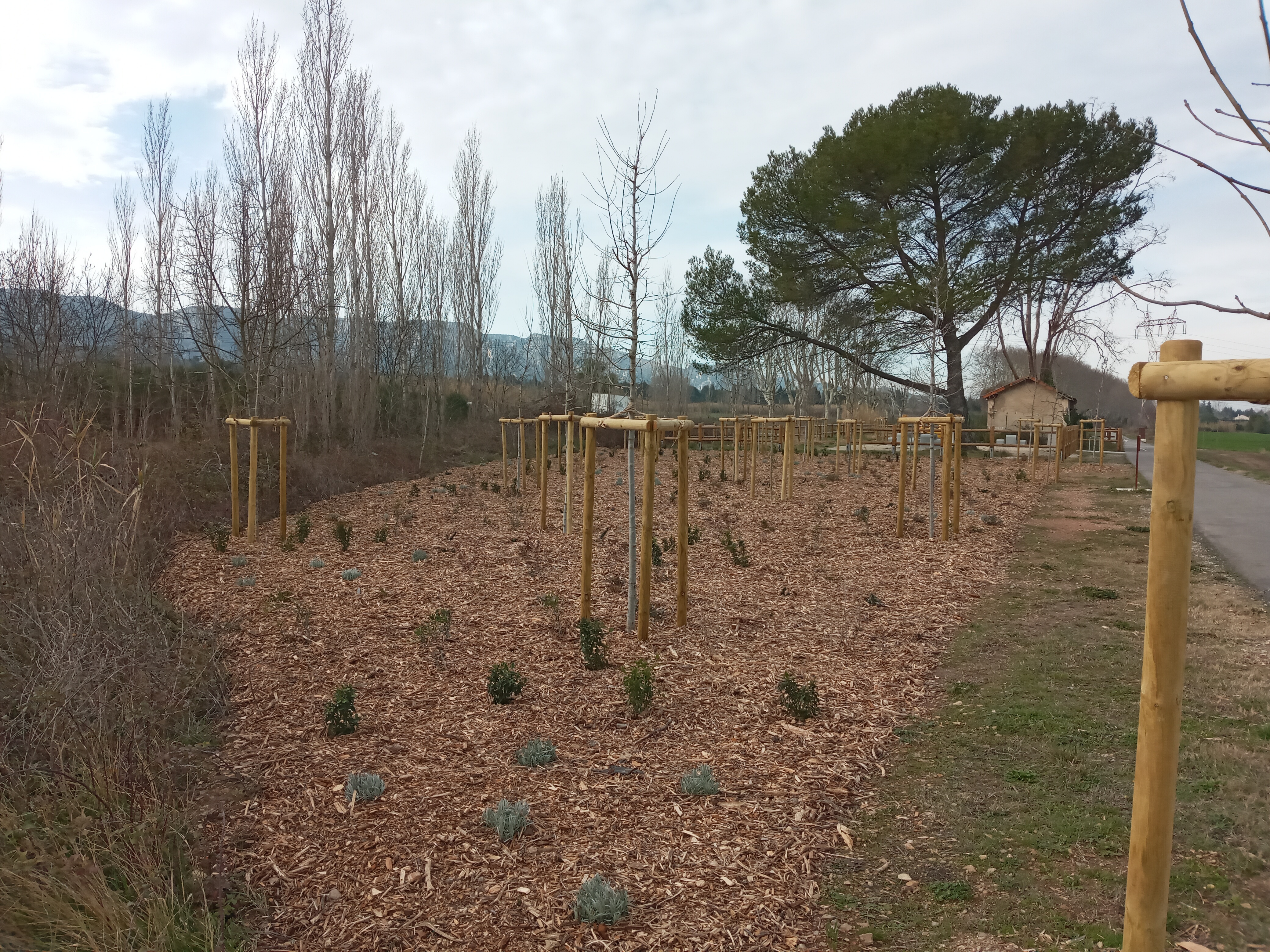 Monter et utiliser un marché écologique de plantations routières 