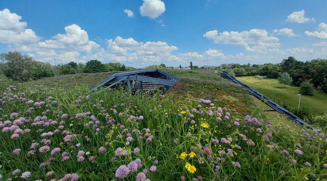 Intégrer la végétalisation du bâti dans les documents d’urbanisme : guides et retours d’expérience 
