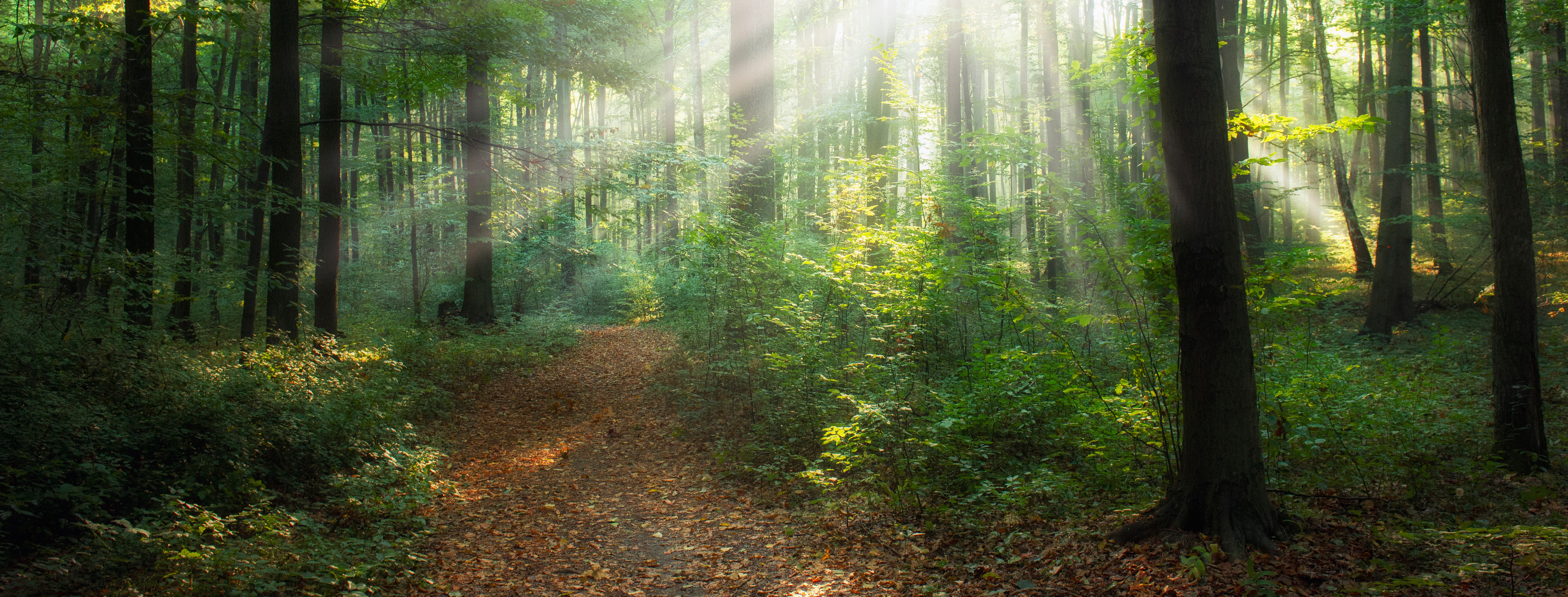 Penser ou repenser un PDIPR  