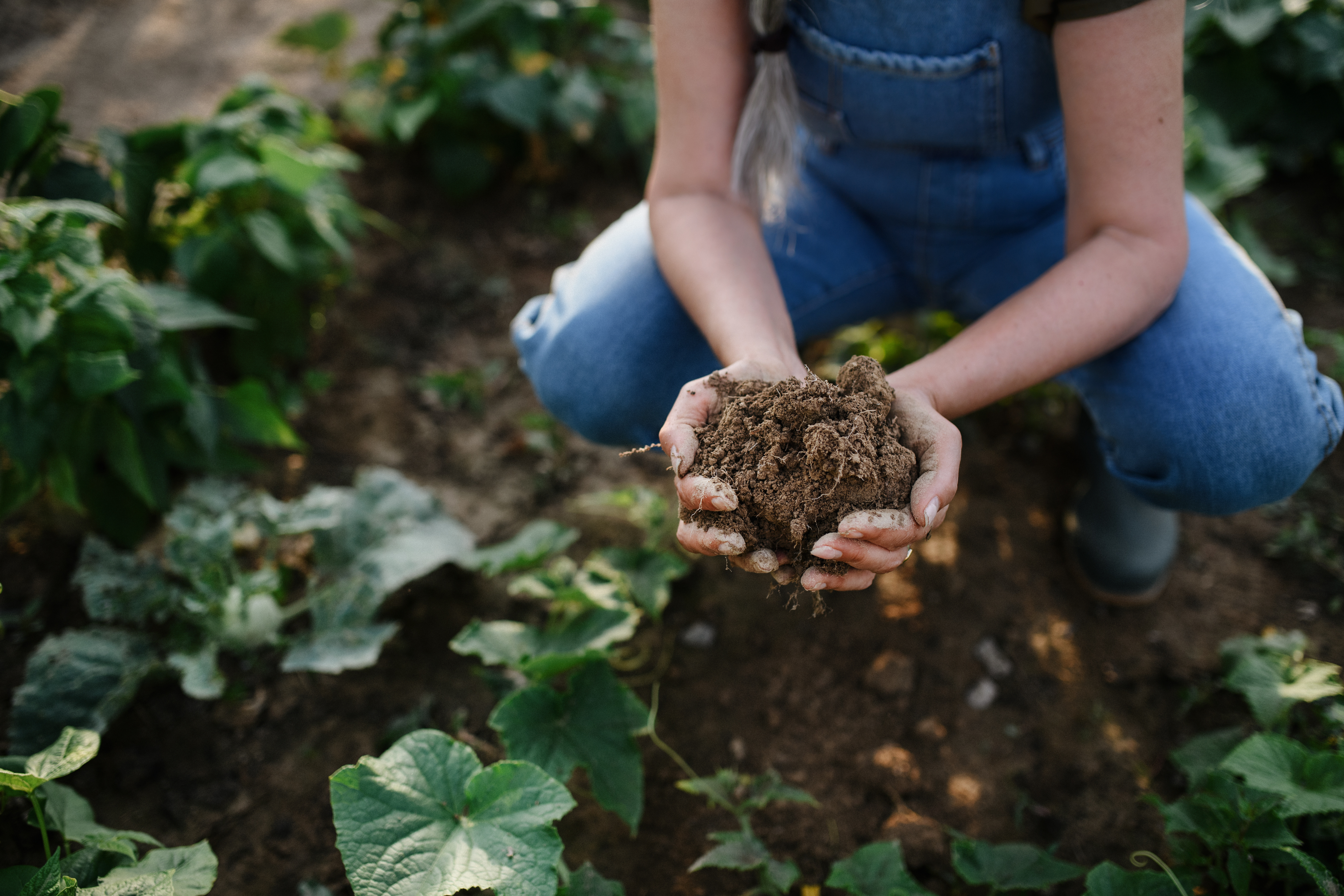 Agricultures et Territoire 2050 — De la neutralité carbone nationale aux réalités agricoles locales