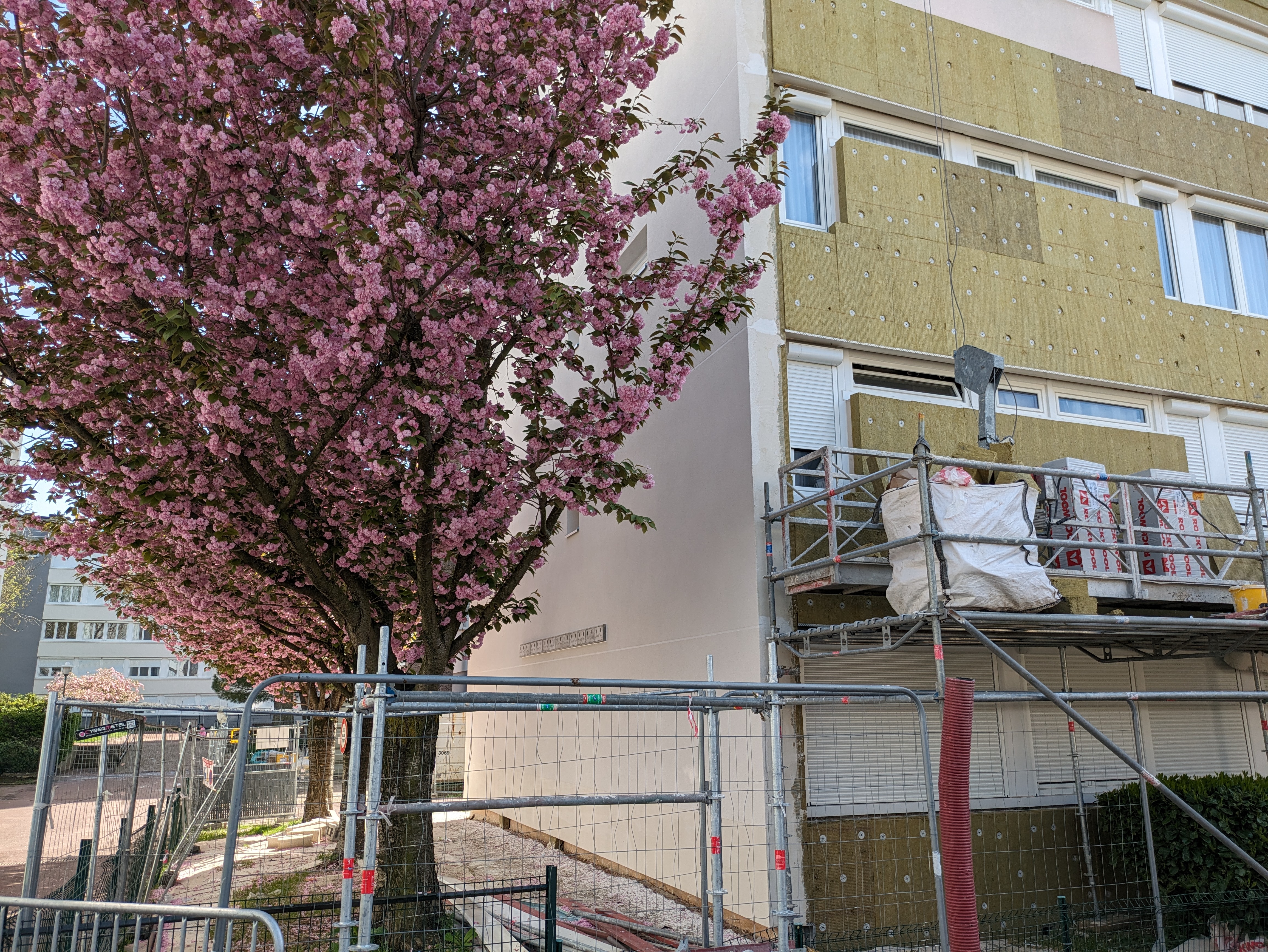 Rénovation du bâti et biodiversité : enseignements techniques et opérationnels du projet pilote d’Orly 