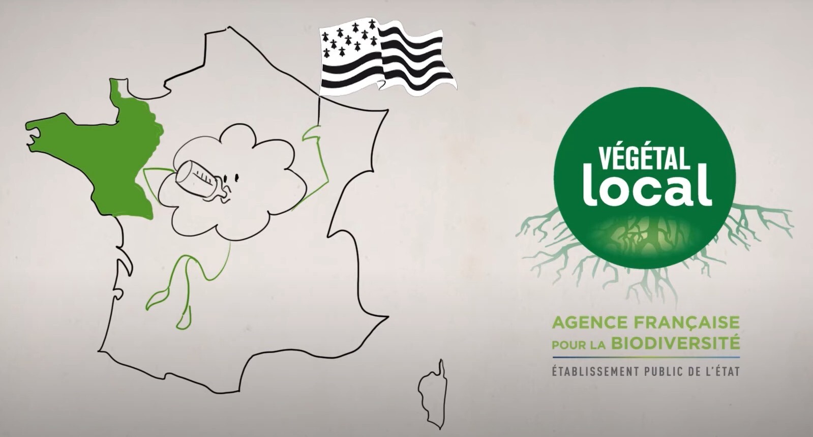 Le label végétal local, moteur de durabilité et de biodiversité au cœur de vos aménagements