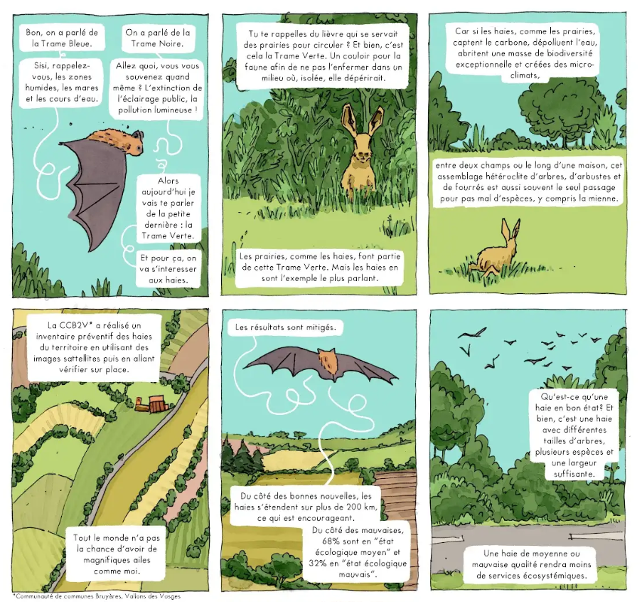 Fédérer des communes rurales par une approche biodiversité :  retour d'expérience de la CCB2V 