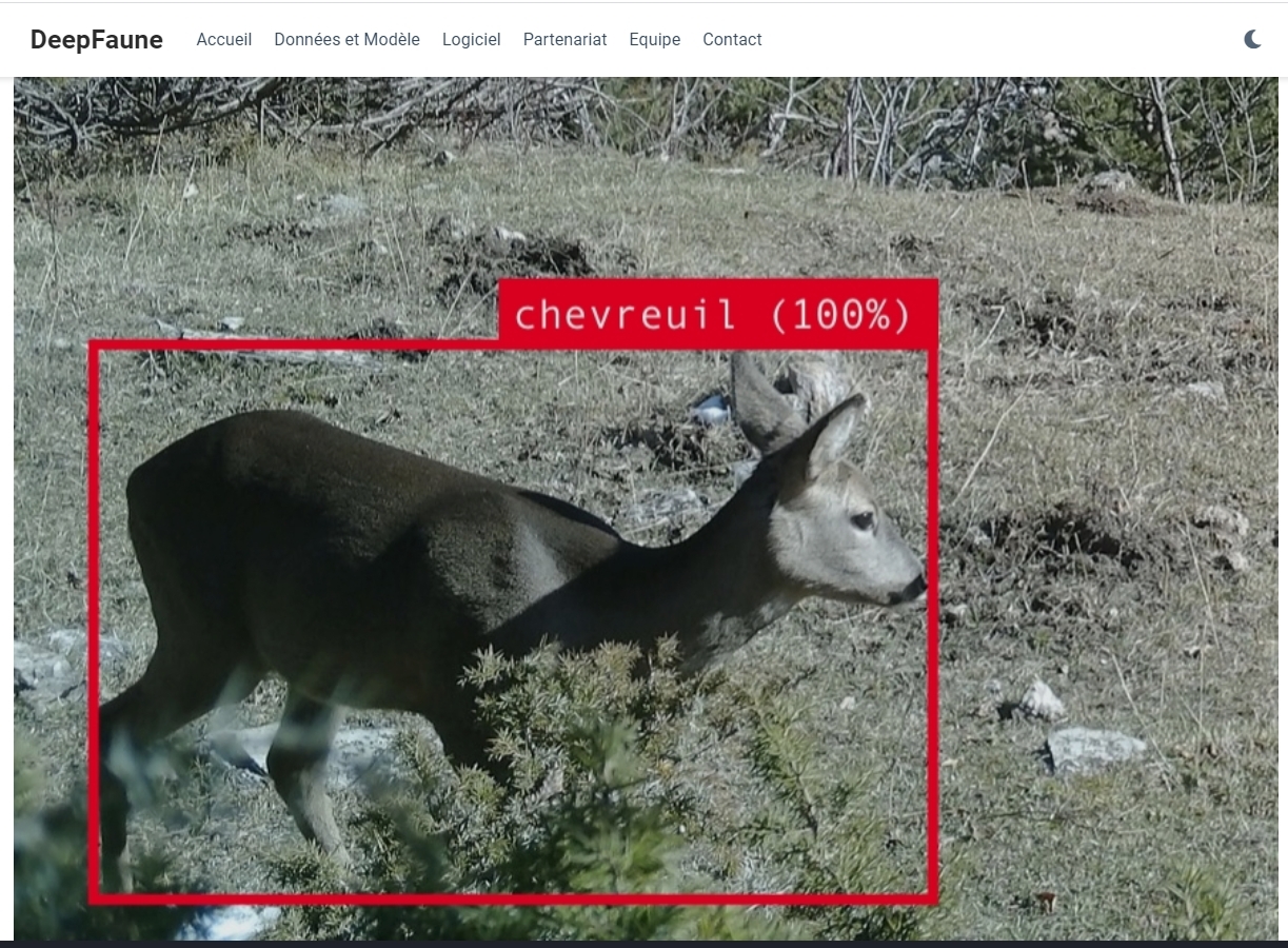 Faciliter les études par pièges photographiques grâce à l'Intelligence Artificielle 