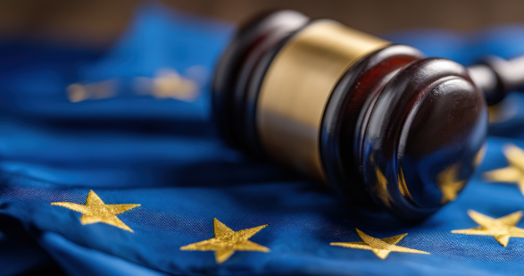 DERU 2 : comprendre, anticiper et agir 