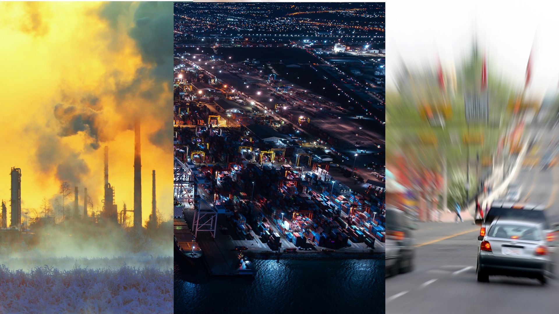 Pollutions sensorielles : quels impacts sur la biodiversité ? 