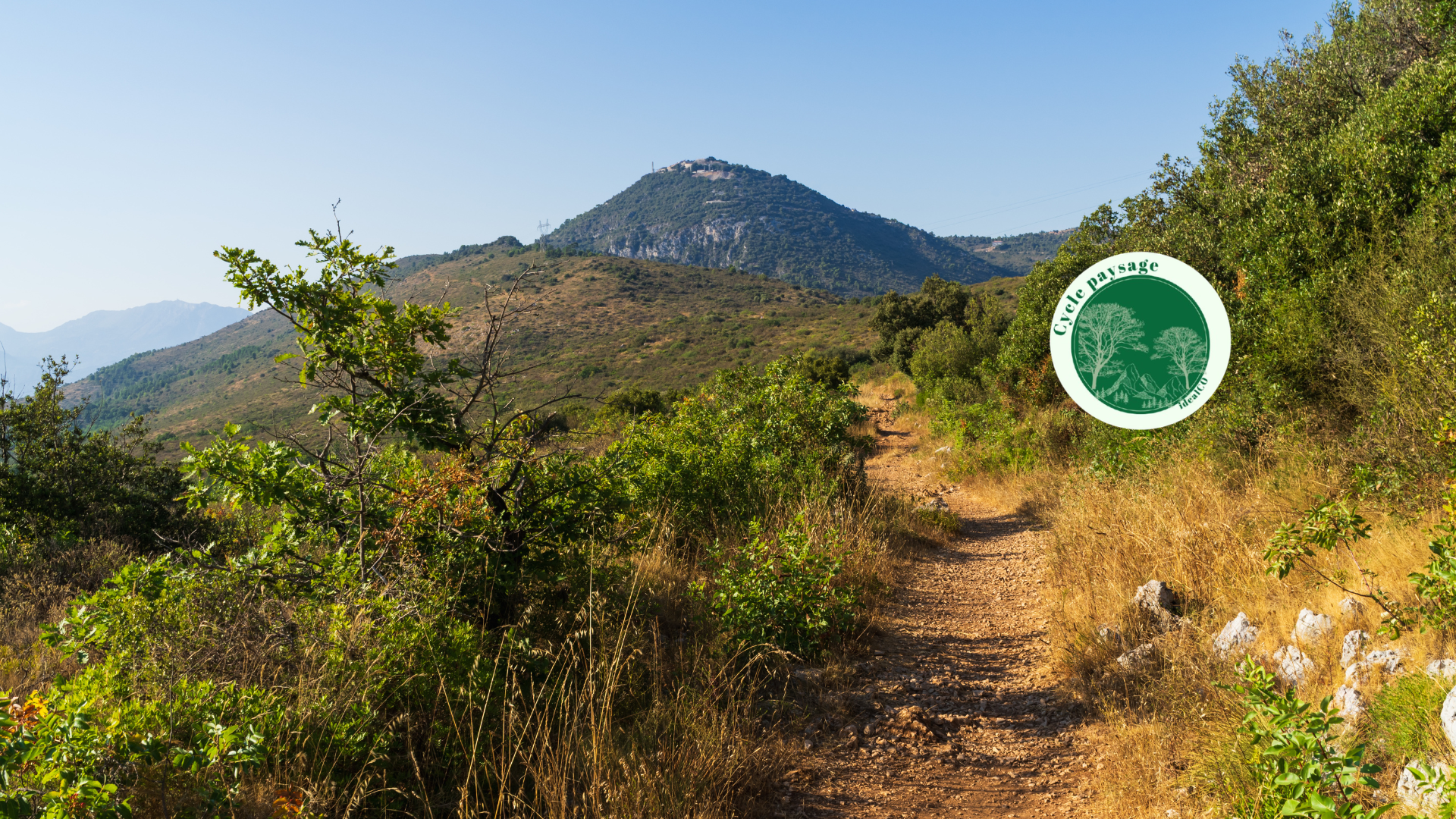 Habiter avec le feu : comment les projets de paysage peuvent renforcer la résilience des territoires