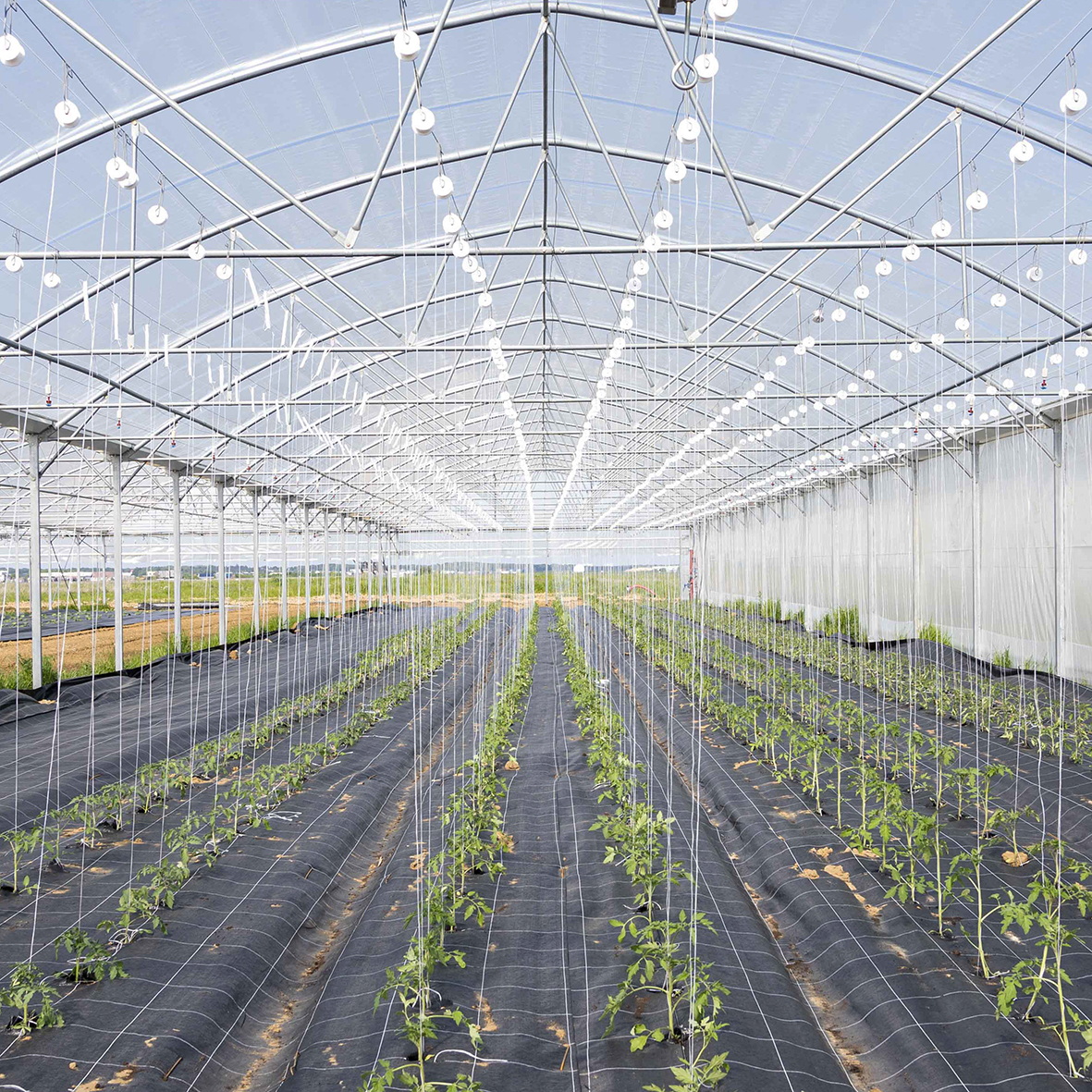 Créer une ferme sur un foncier public à réhabiliter - les clés de la ferme de l'envol pour relever le défi! 