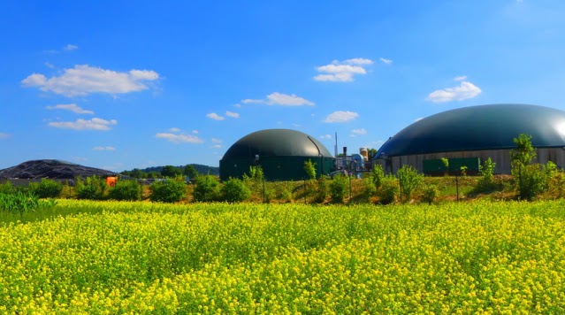 Piloter la transition agroécologique et bioéconomique de son territoire : focus méthanisation agricole 