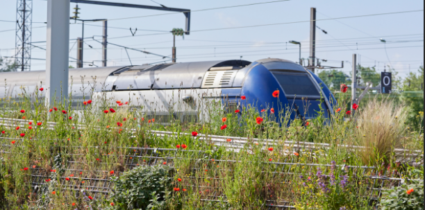 Système Alternatif de Mobilité - de quoi parle-t-on?